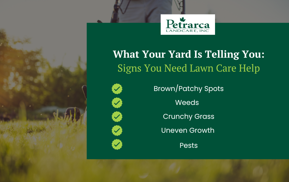Lawn Care Help Infographic