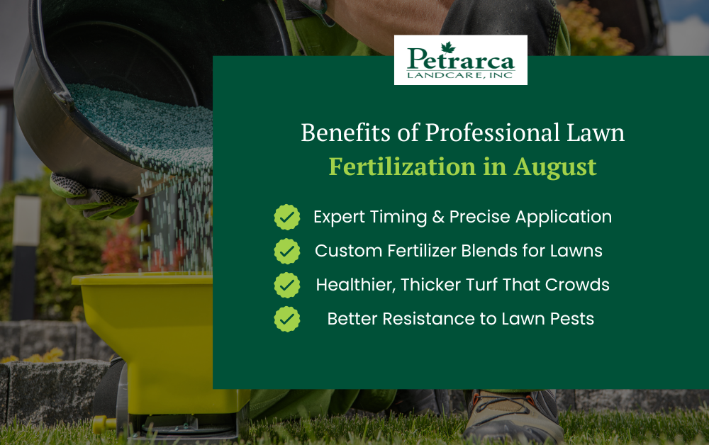 Lawn Fertilization Infographic