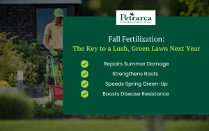 Fall Fertilization Infographic