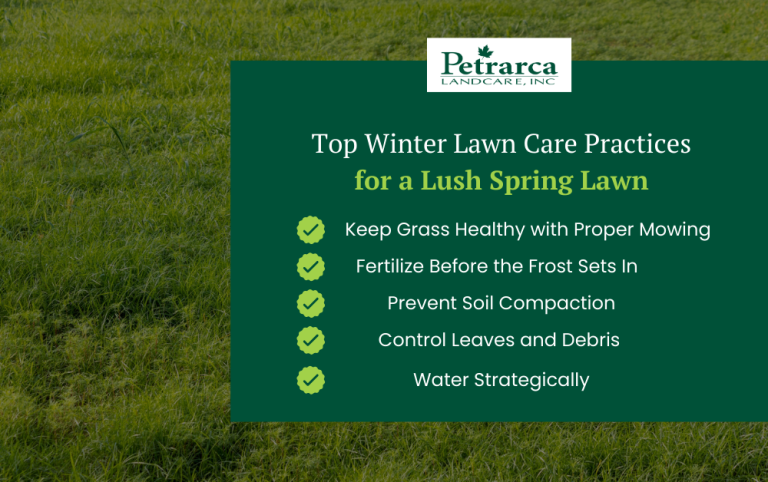 Top Winter Lawn Care Practices for a Lush Spring Lawn - Petrarca Landcare