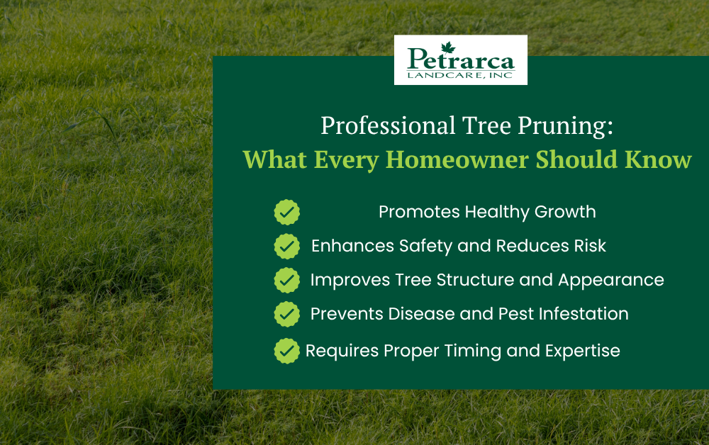 tree pruning services
