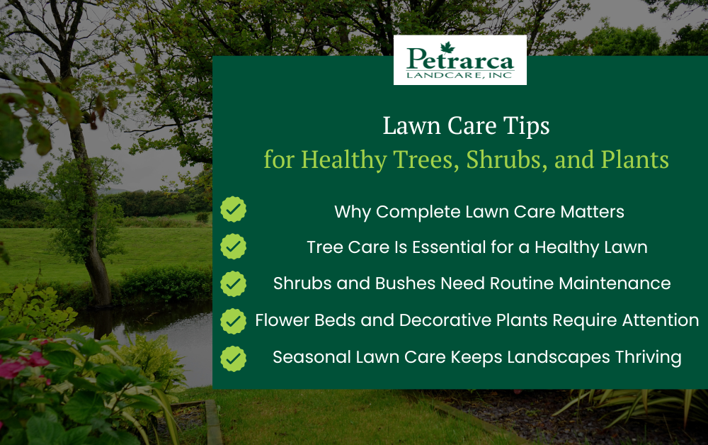 lawn care