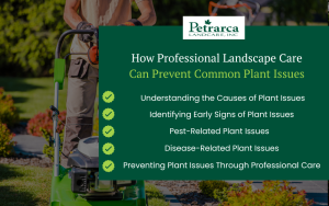 plant issues