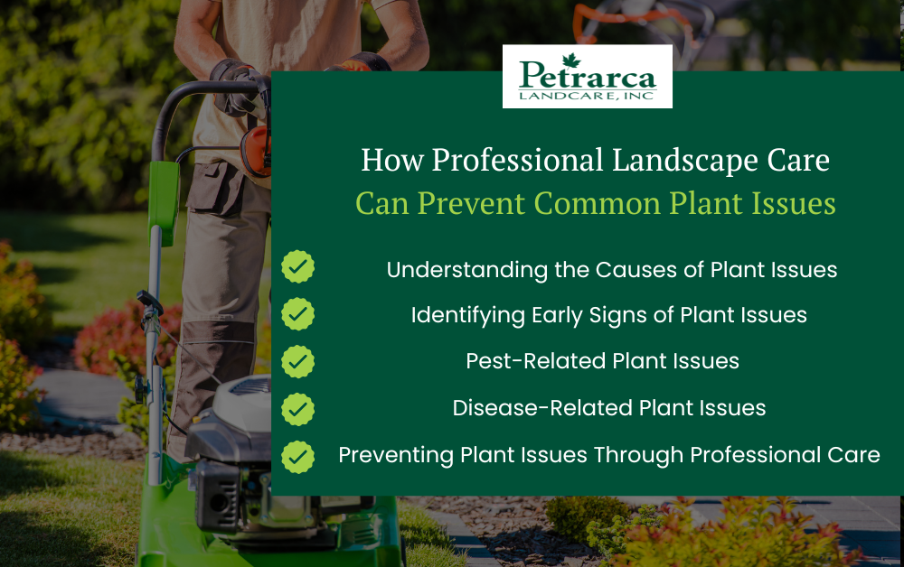 plant issues