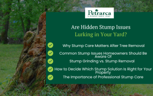 stump issues