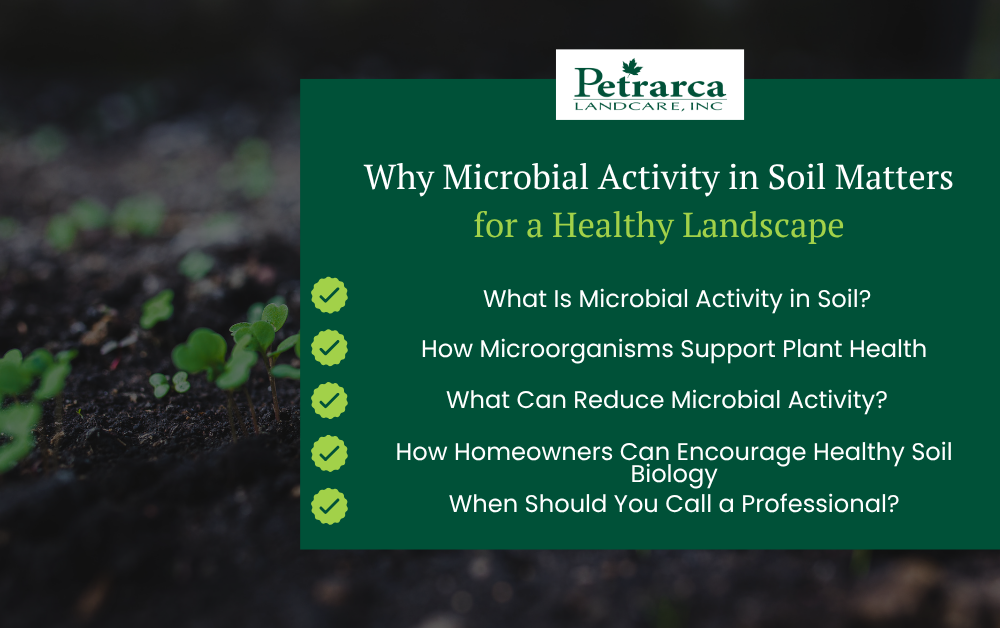 microbial activity in soil