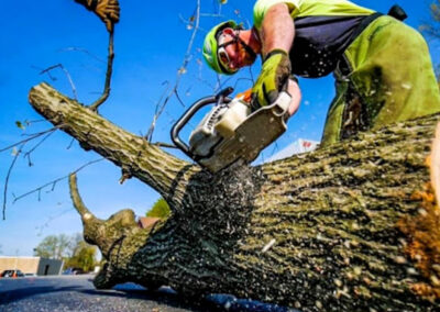 Stump Grinding Services Massillon OH