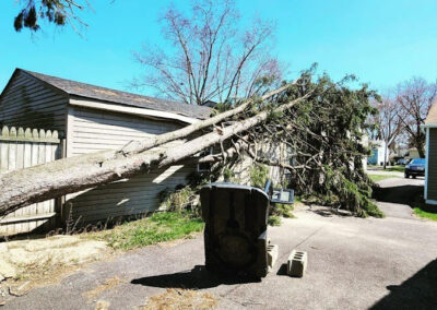 Tree Removal Portage Lake OH