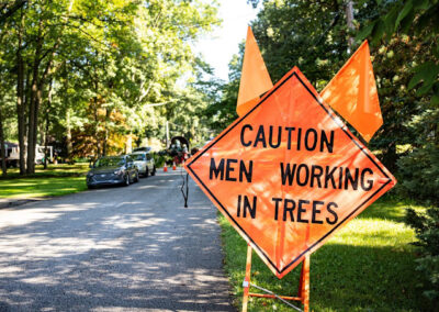 Tree Removal Services Massillon OH