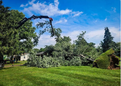 Tree Services Akron OH