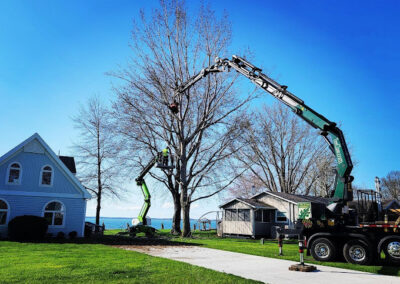 Tree Services Louisville OH