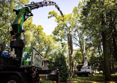 Tree Services Rocky River OH
